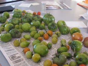 Garden vegetables